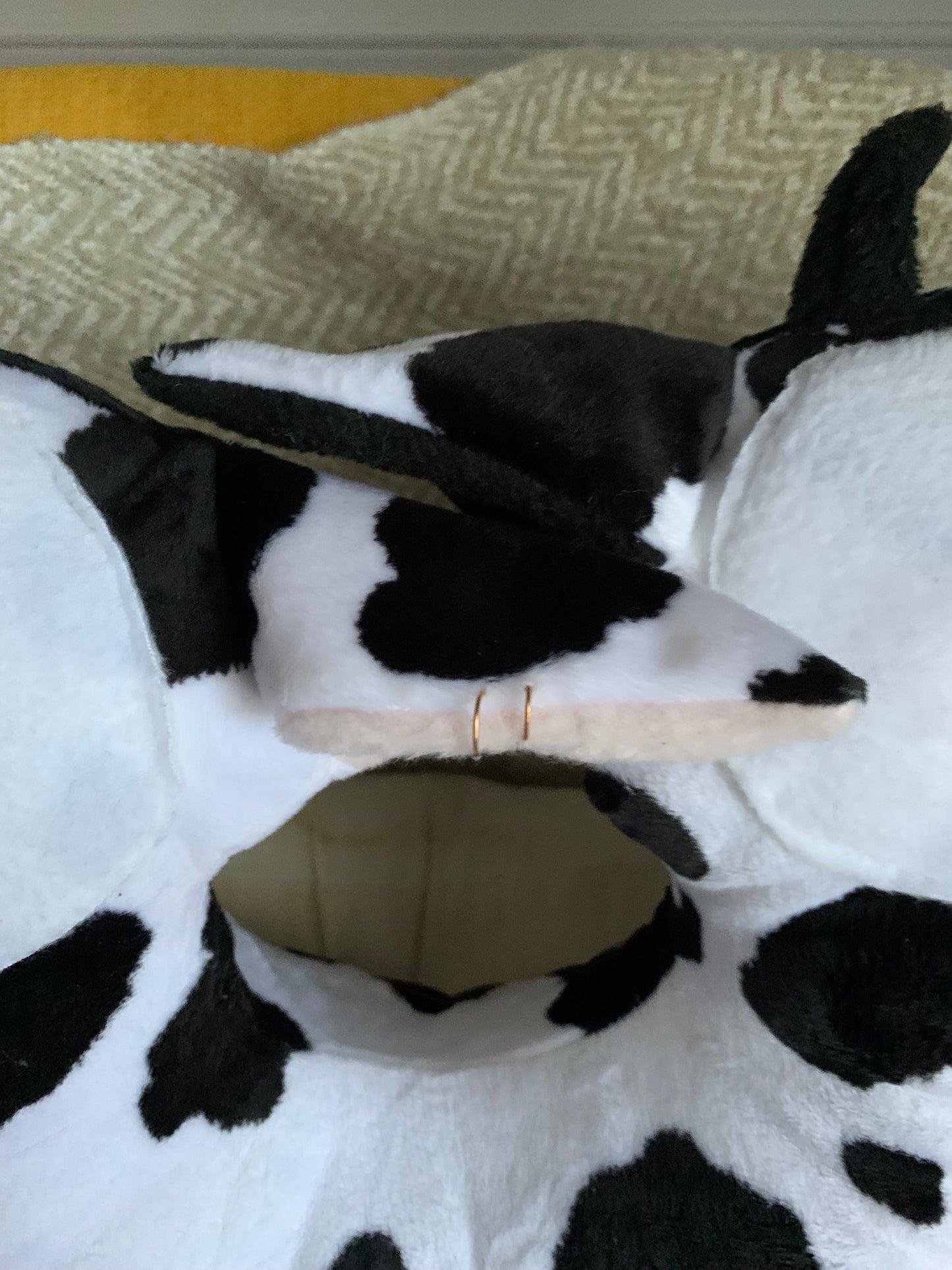 OOAK Handmade Two-Headed Cow Plush - Oat Lee